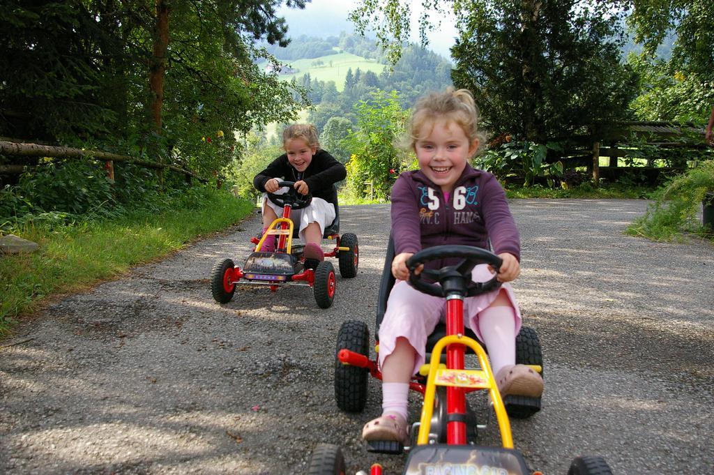 Bio-Bauernhof Rettenbachgut Werfen Kültér fotó