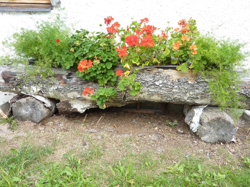 Bio-Bauernhof Rettenbachgut Werfen Kültér fotó