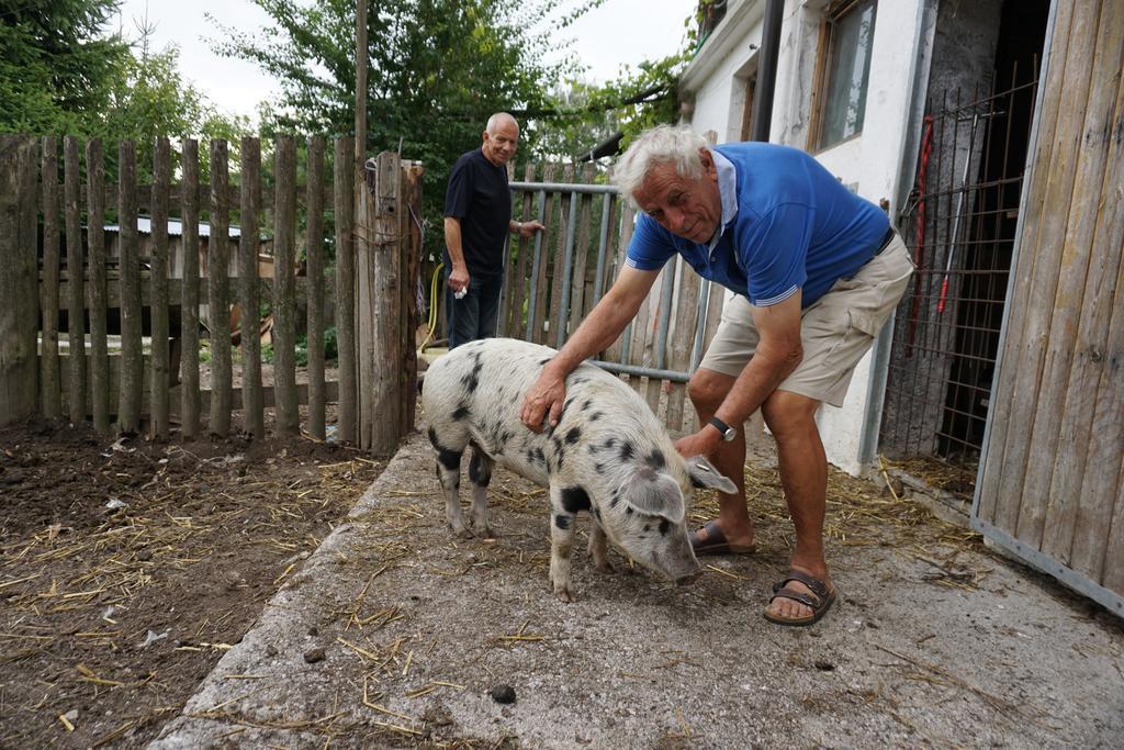 Bio-Bauernhof Rettenbachgut Werfen Kültér fotó